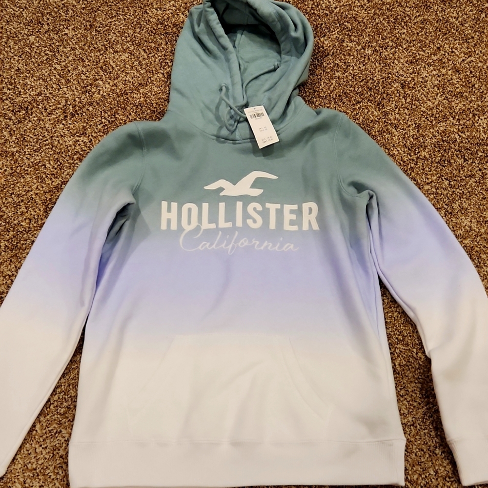 Hollister Sweatshirt